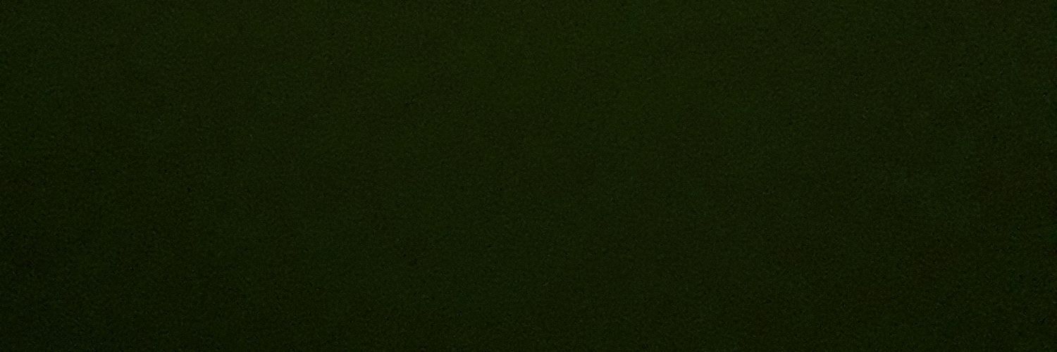 cascarfuna's profile banner image