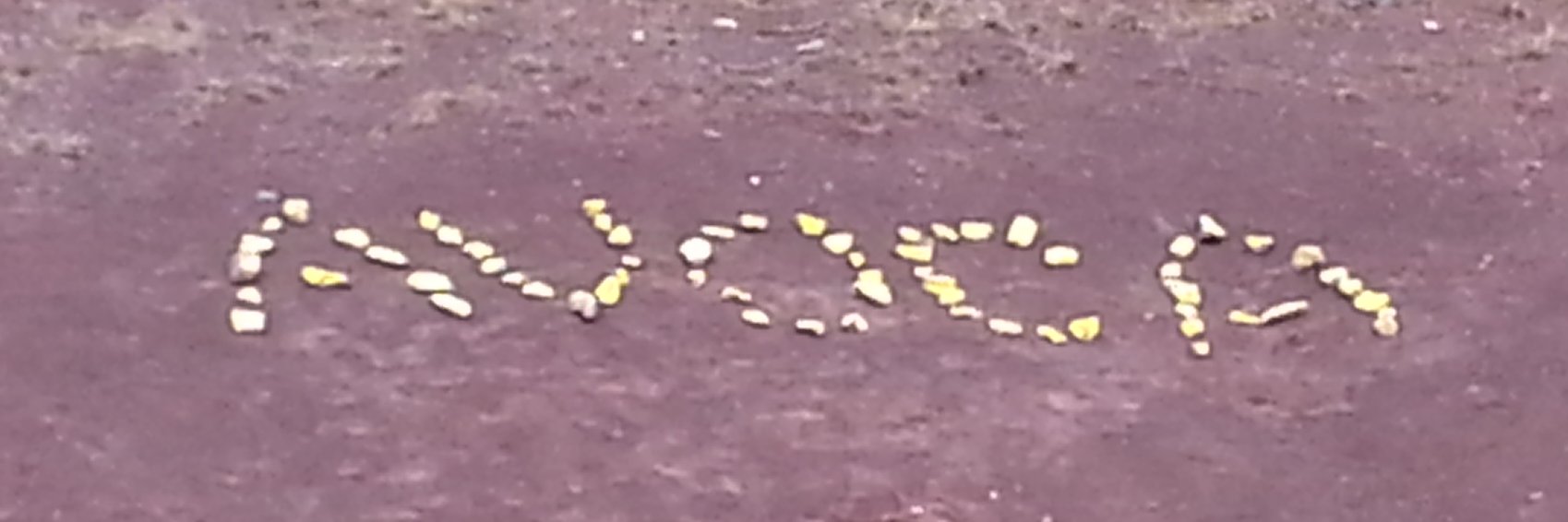 Avoca Collegiate banner