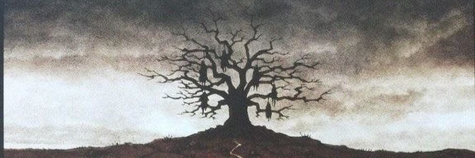 _ausnte's profile banner image