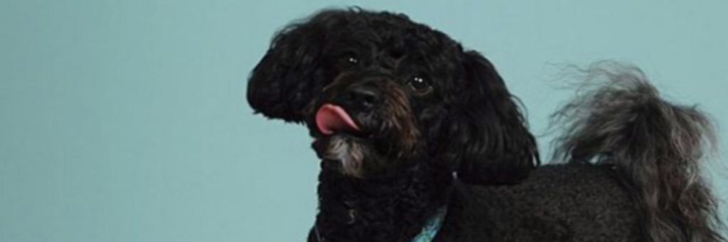 altangla's profile banner image