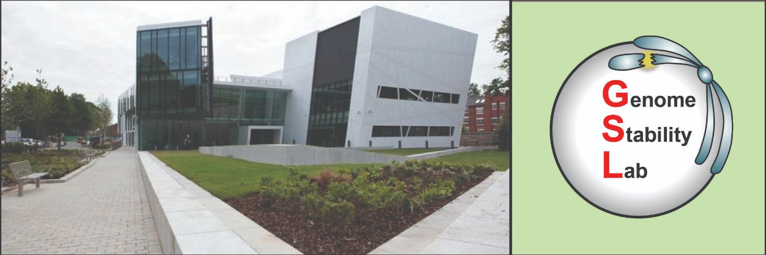 Genome Stability Lab's banner