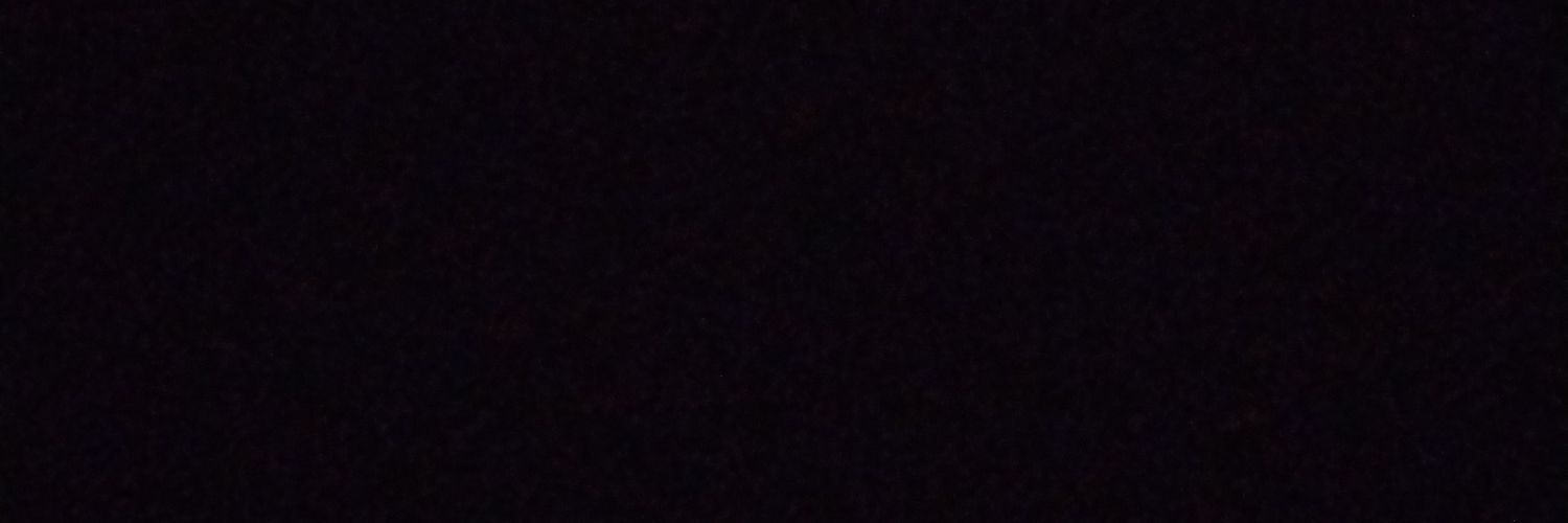 pinheirocaina's profile banner image