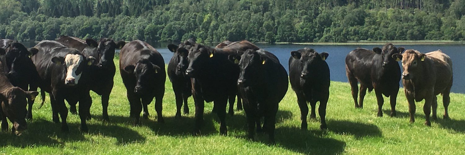 Brian Chapman banner