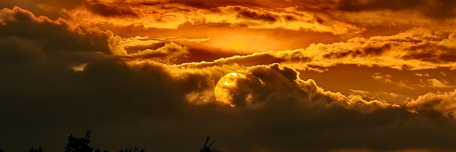 Andrea Contino banner