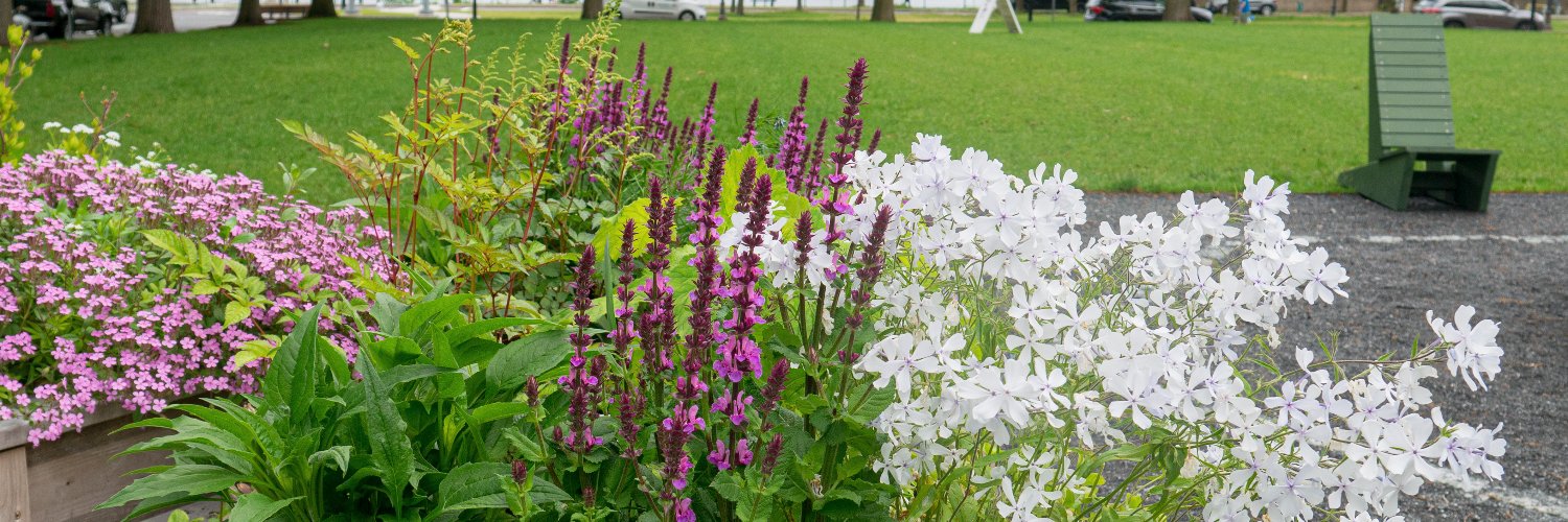 MIT Office of Sustainability banner