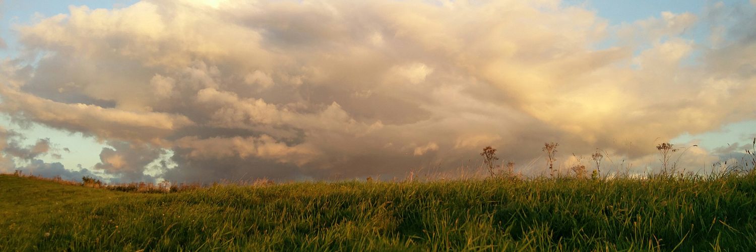 Connor Oscroft banner