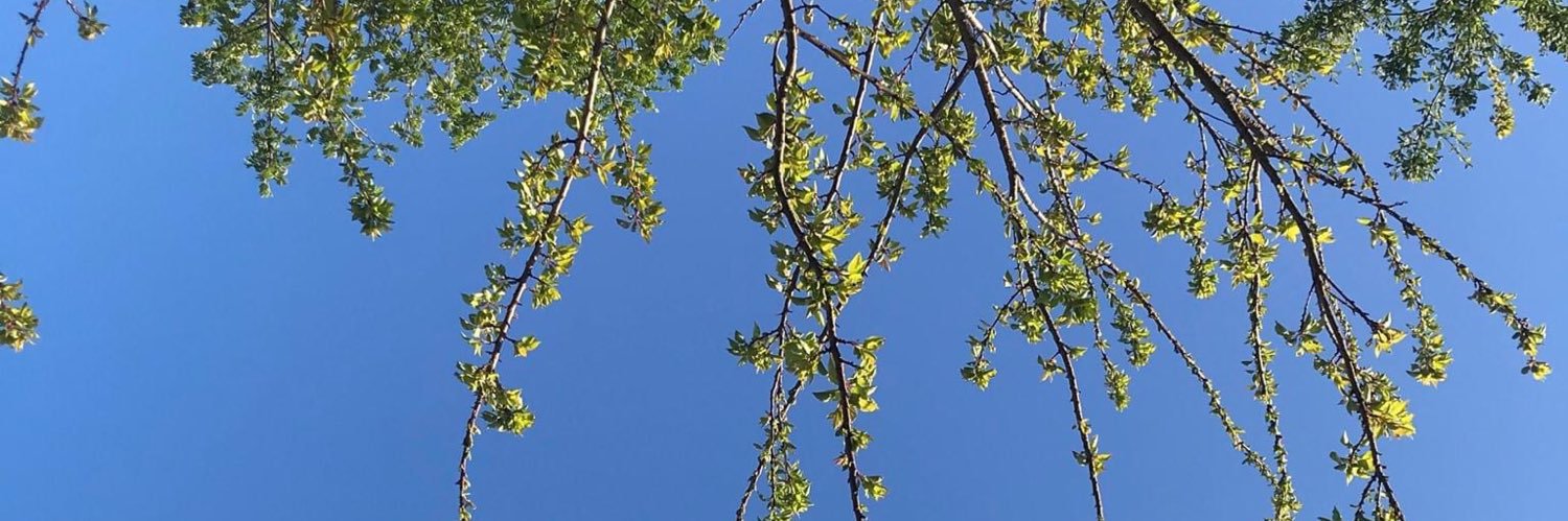 Markus Hetheier banner