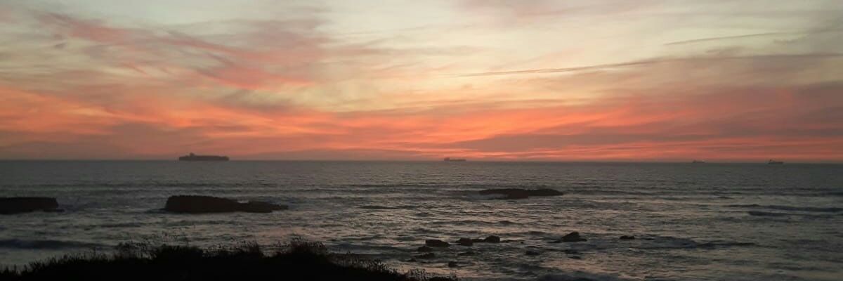 Tatemlille's profile banner image