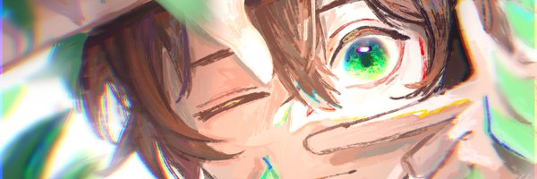 sidefallisaliar Profile Banner