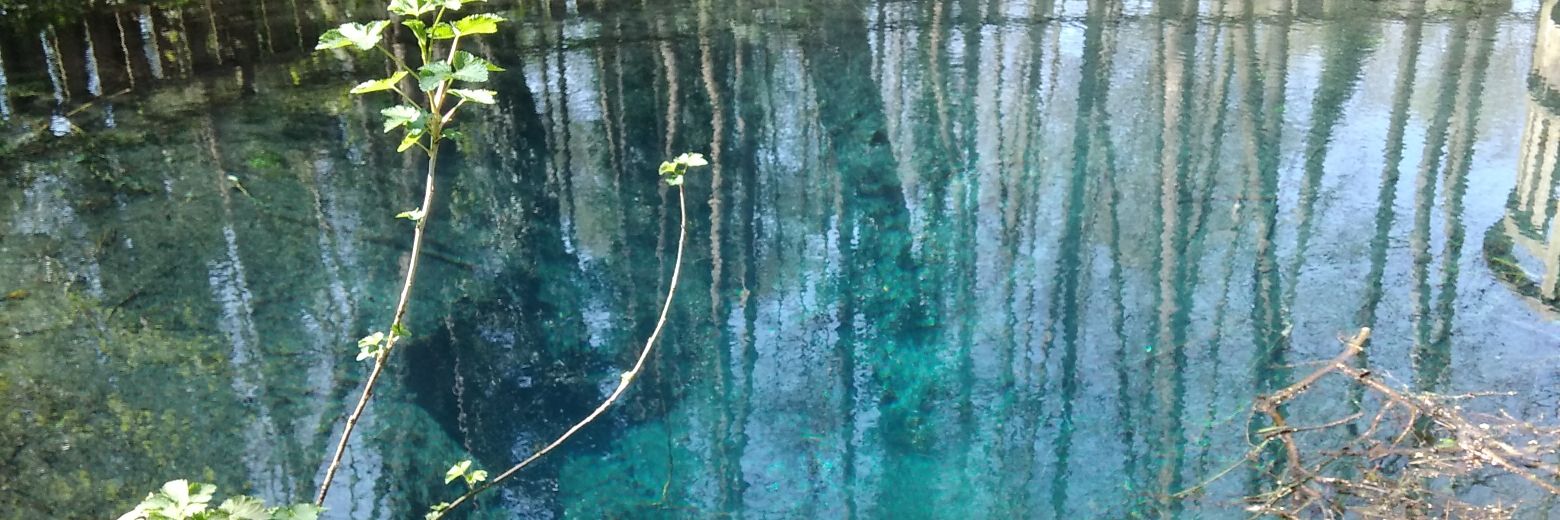 Stéphanie Peulevey banner