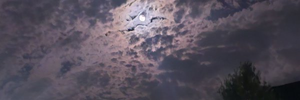 _hoyet Profile Banner