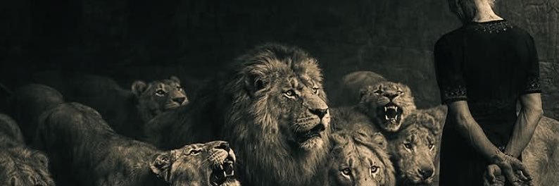 Teddy_v2v's profile banner image