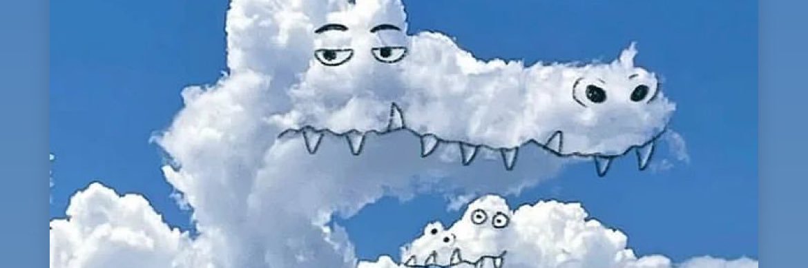 کروکودیس banner