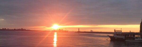 ficade Profile Banner