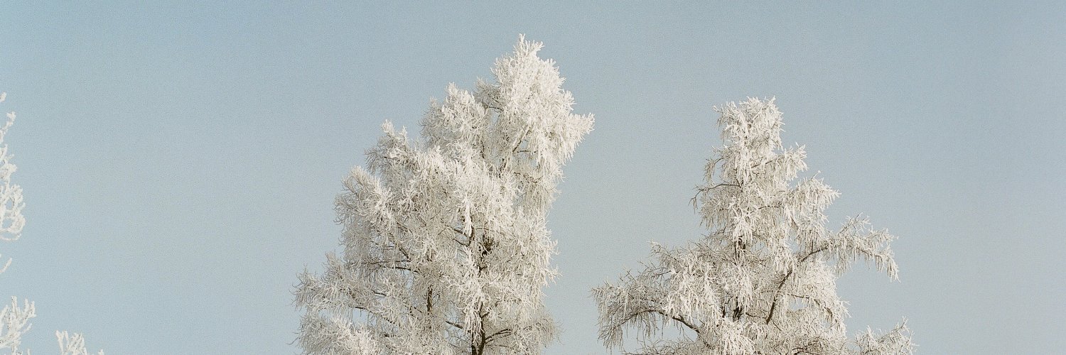 The Great Northern banner