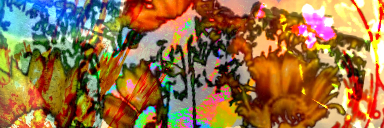 hxttestt's profile banner image