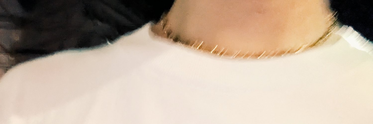 シーナ𓃗 banner