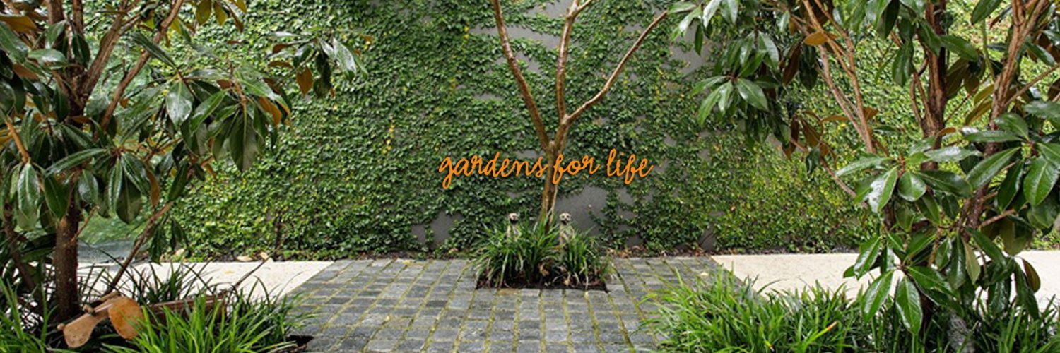 TimDLandscaping's profile banner image