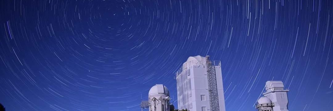 Bee Williams 🐝 banner