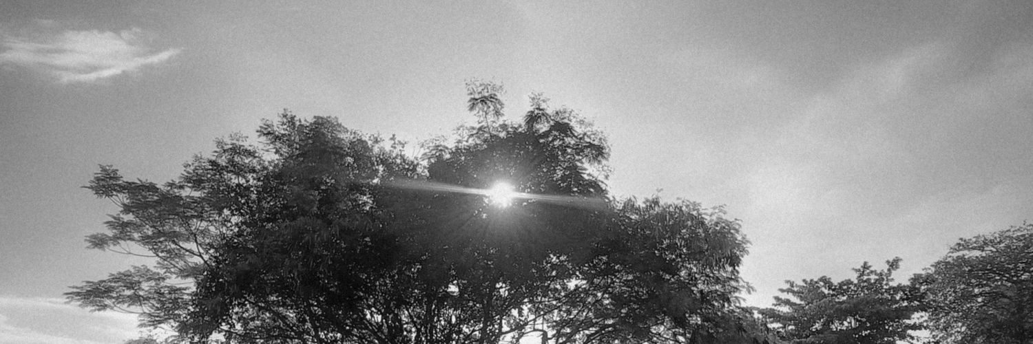 daosjoe's profile banner image