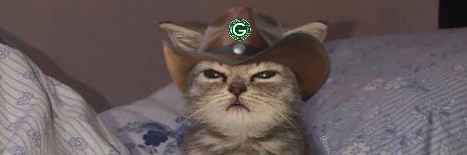 williancsjunior's profile banner image