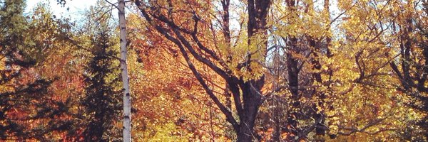 katherinesimsvt Profile Banner