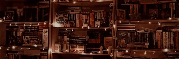 Evᥱr 📖 A Última Casa da Rua Needles banner