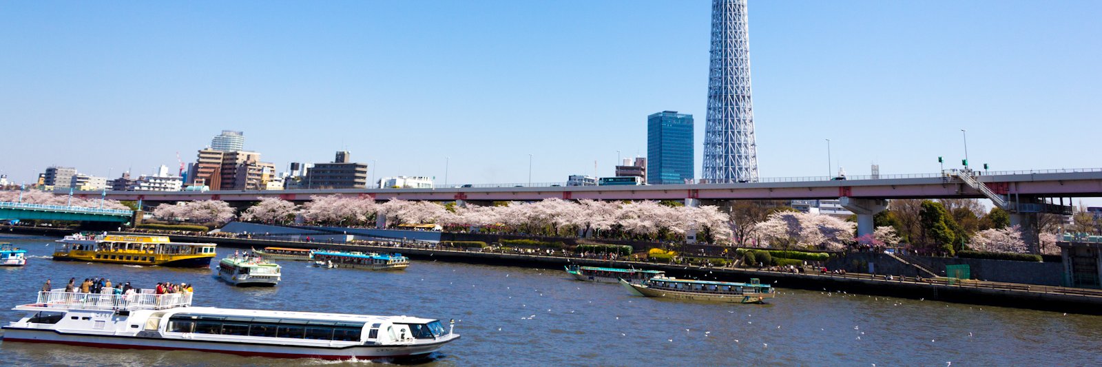 くろウサ banner