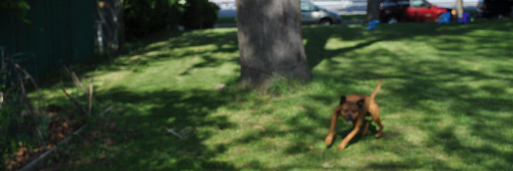 goodechoice's profile banner image