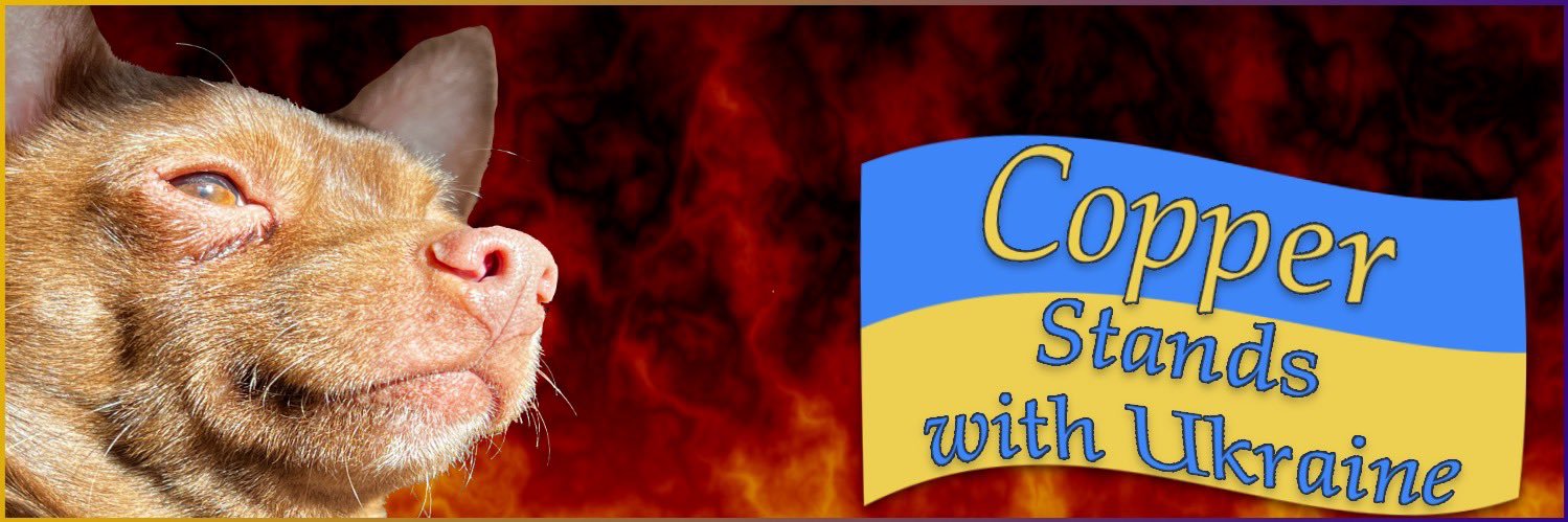 LiberalFenix's profile banner image
