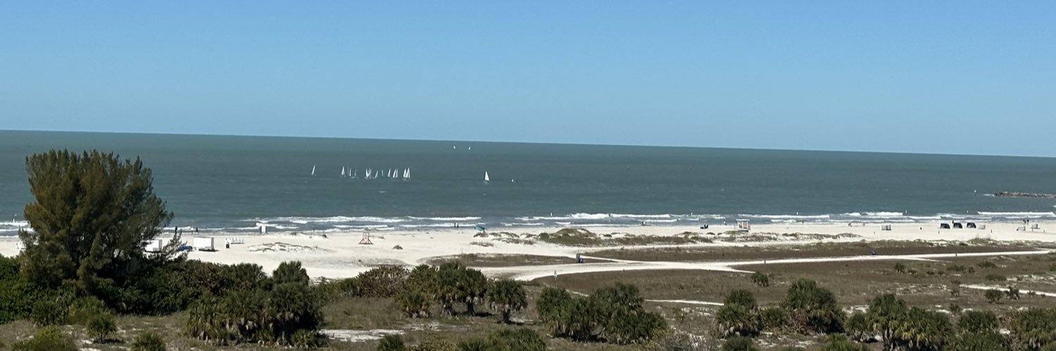 This too shall pass banner