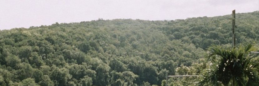 LouisEugeneLee's profile banner image