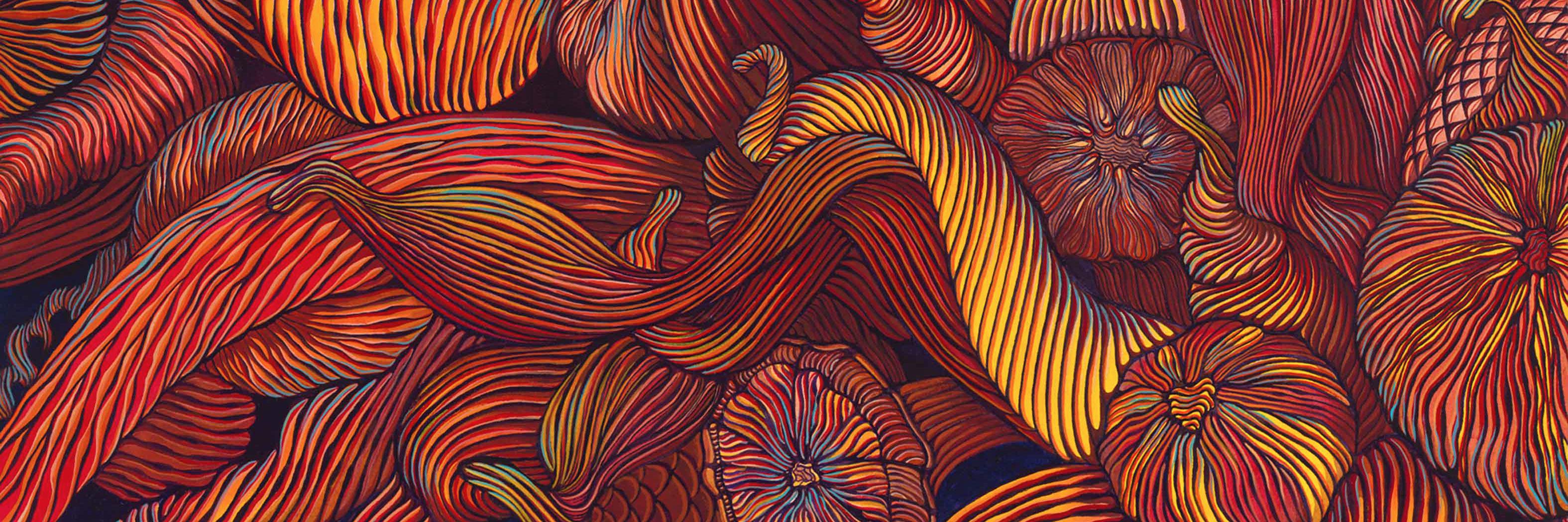 SHIRLEYKLEPPE's profile banner image