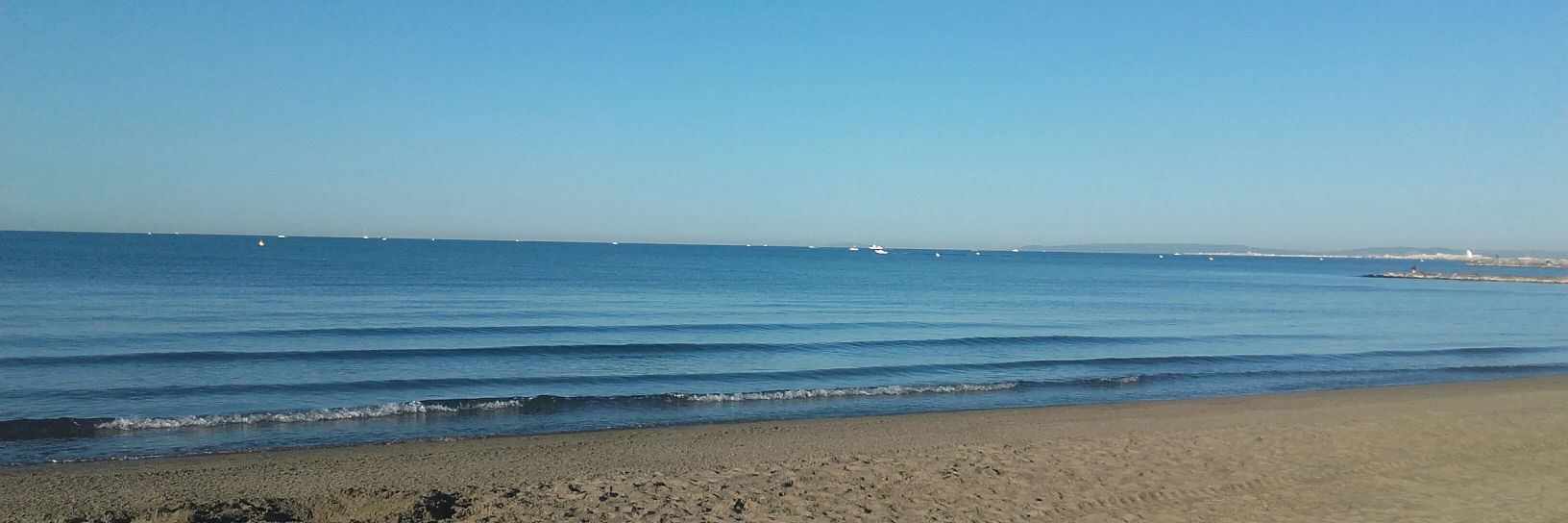 🌊LeGoéland 🇷🇺 banner