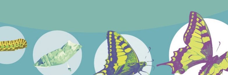 JoshFialkoff's profile banner image