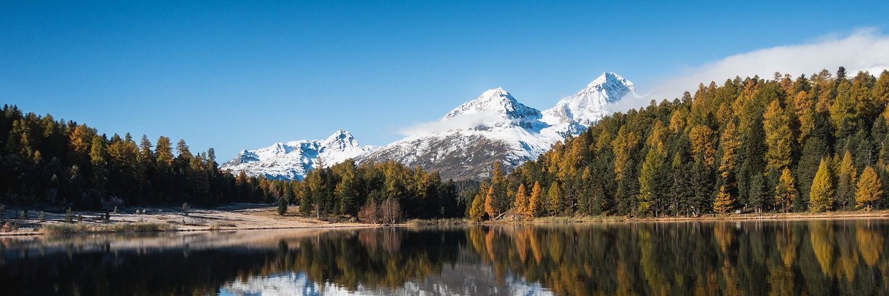 ALFREDO SALAZAR® banner