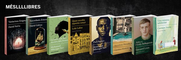 mes_llibres Profile Banner