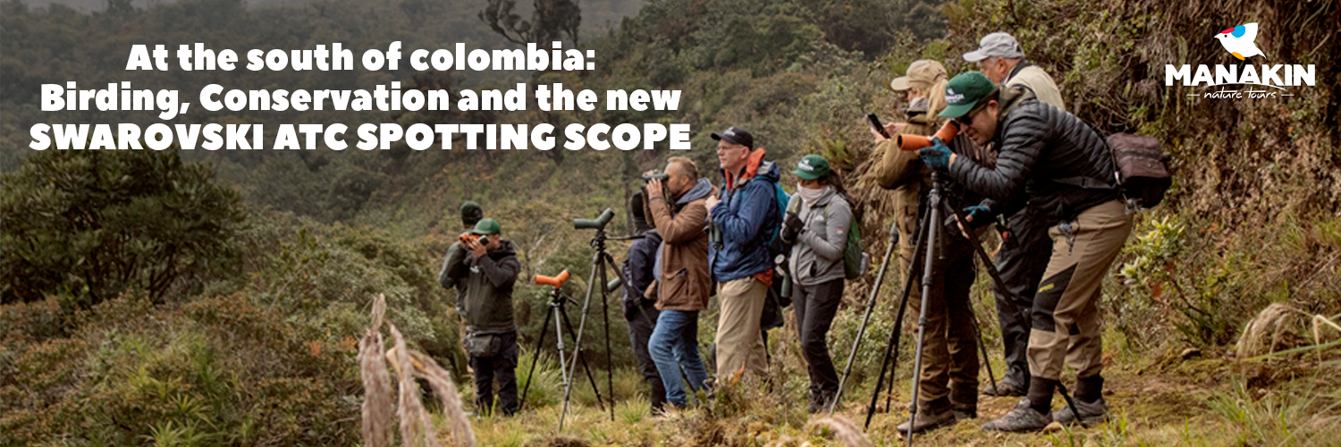 birdwatchingcol's profile banner image