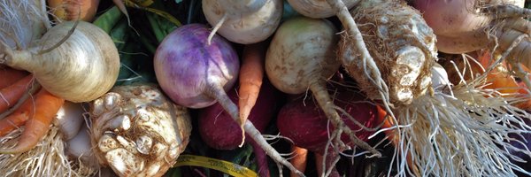 OGSNC Profile Banner