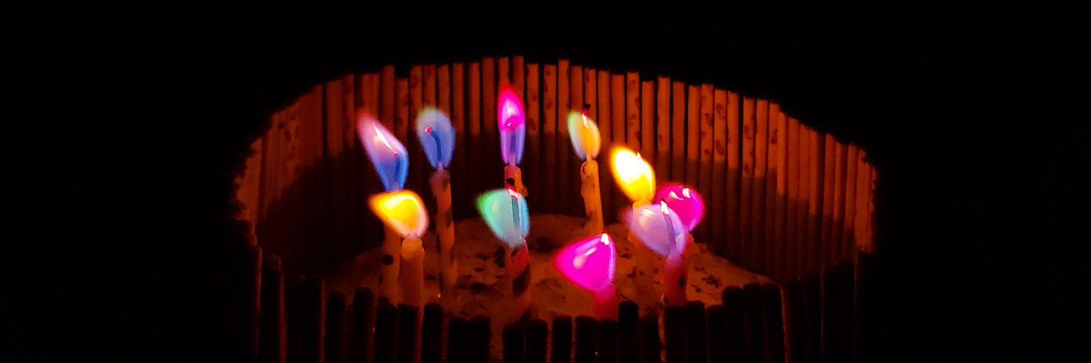 Amy Y.Q. Lin 林韵清 banner