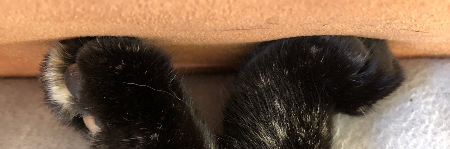 Vanessa Platz-Czekansky (she/her) banner