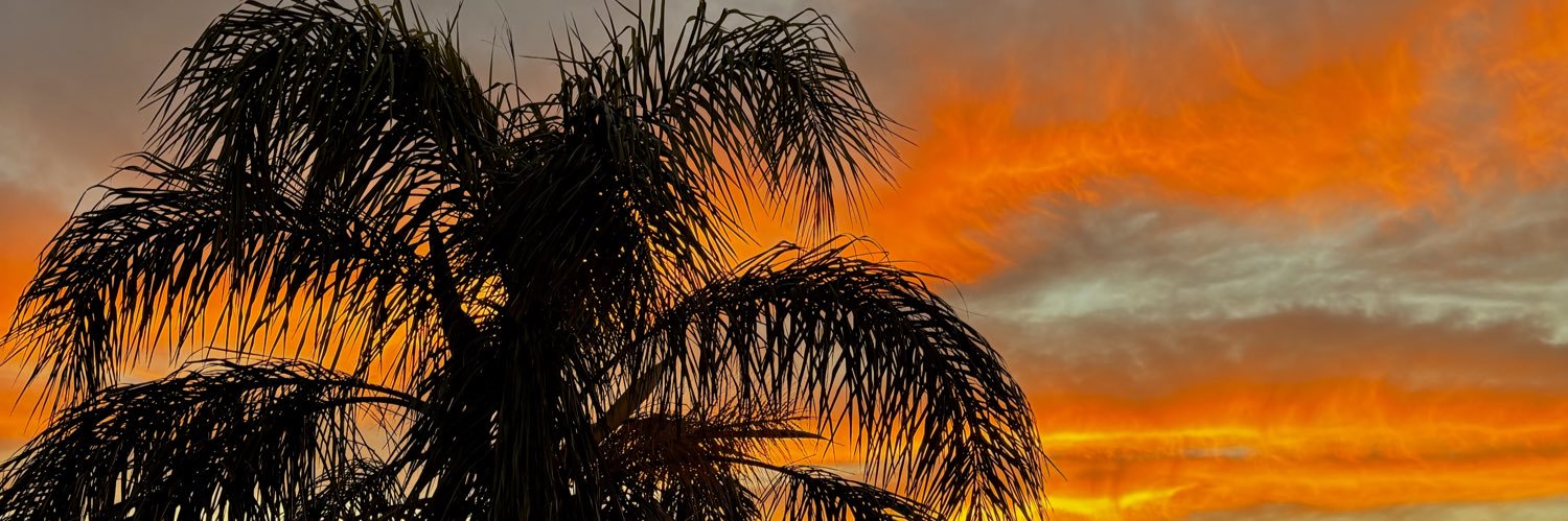 Rafa_Rubi's profile banner image