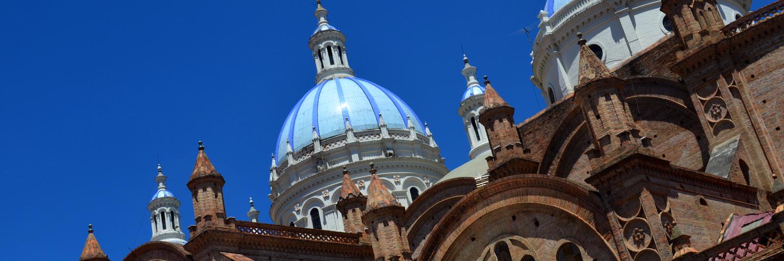 Adam Mileusnic banner