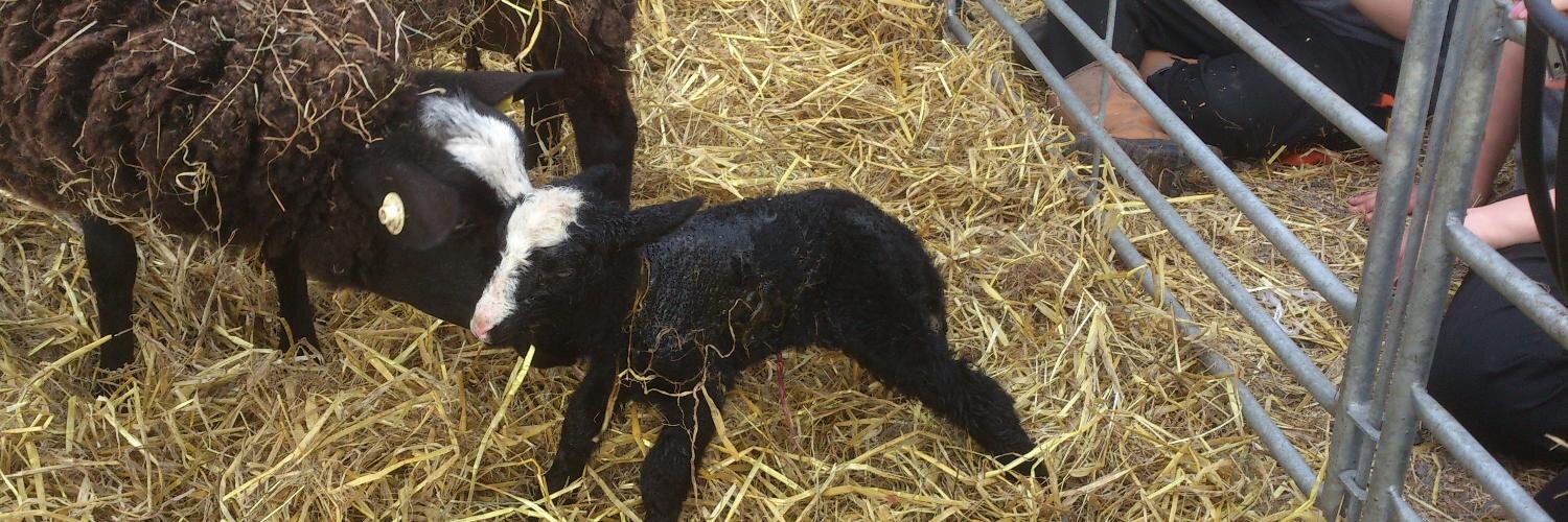 Beb High School Farm banner