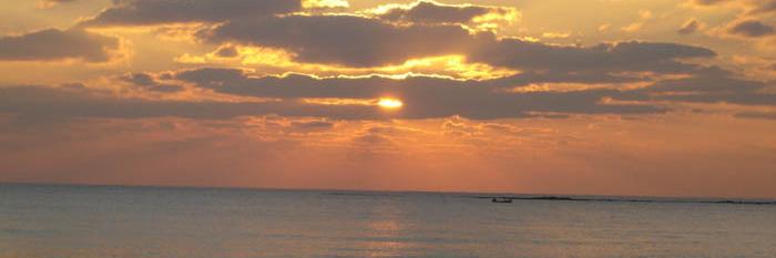 ha2661400's profile banner image