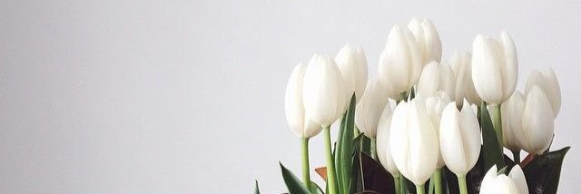 Leondra_Rose's profile banner image
