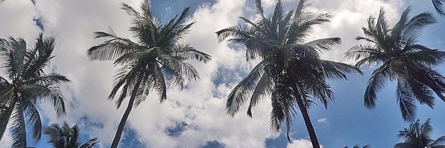 ptchjcnt's profile banner image