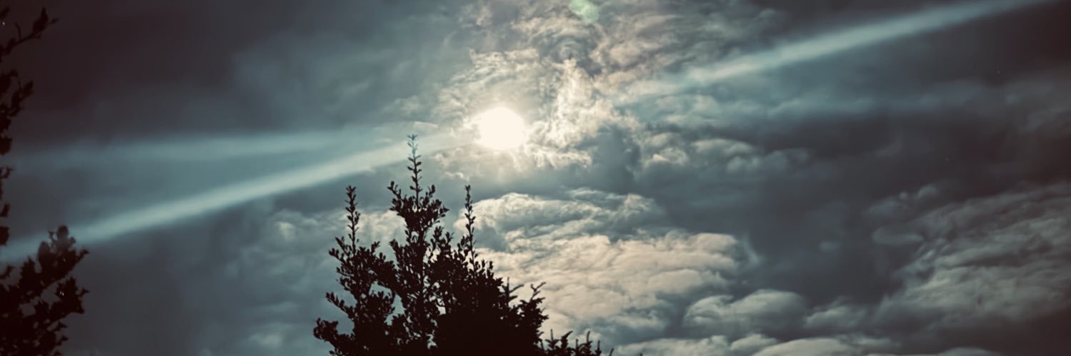 amandawinter13's profile banner image