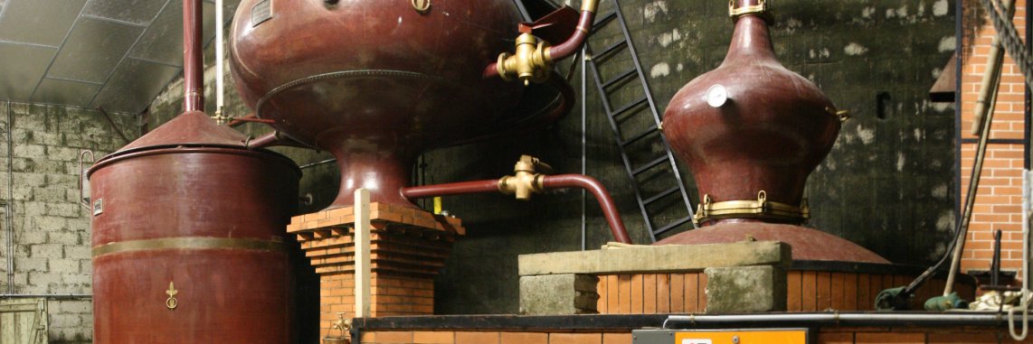 ginforeveryone's profile banner image