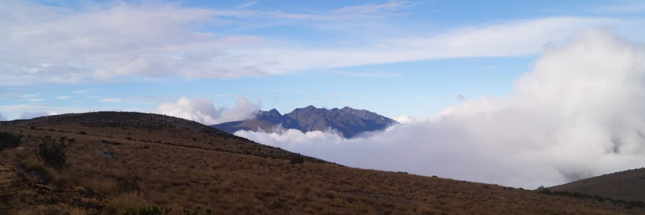Juan Camilo Avendano-Diaz banner